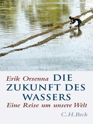 cover image of Die Zukunft des Wassers